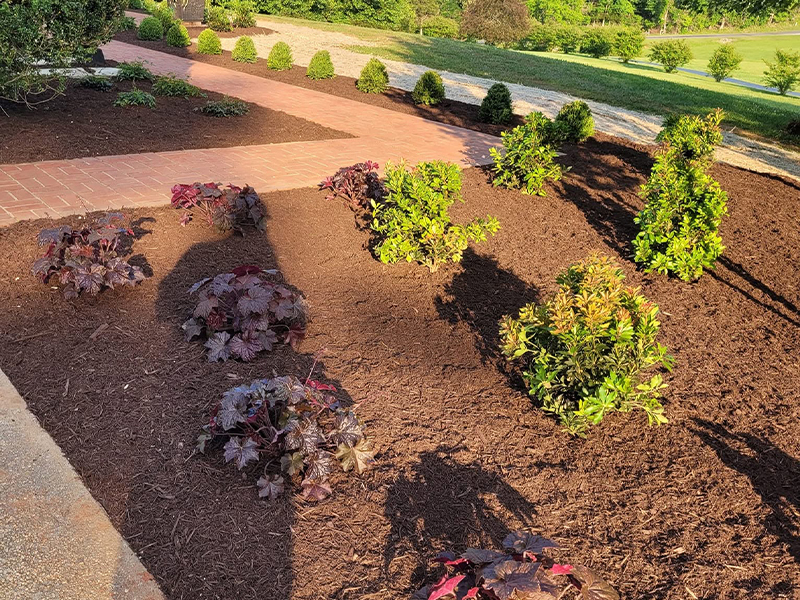 landscaping quality lawn connections lawncare services central virginia lynchburg smith mountain lake