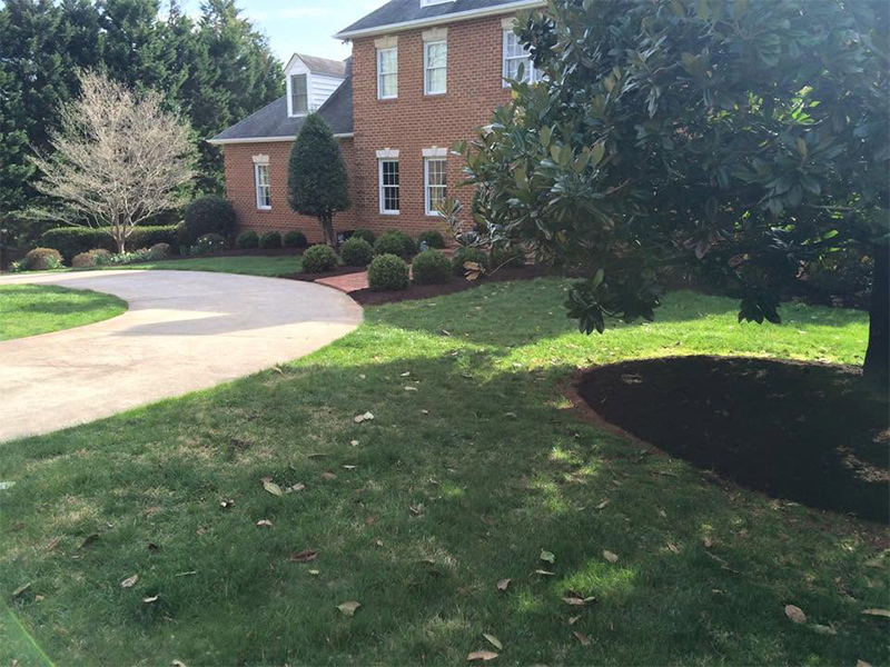 landscaping quality lawn connections lawn care Central Virginia lawn services smith mountain lake