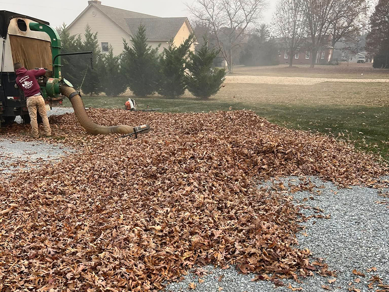 Lawn care leaf removal services Central Virginia quality lawn connections