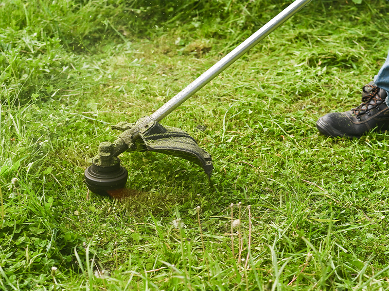 lawn care quality lawn connections weed wacking services